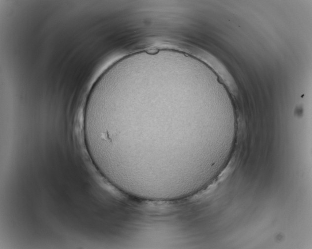 X0000102811198200809150945