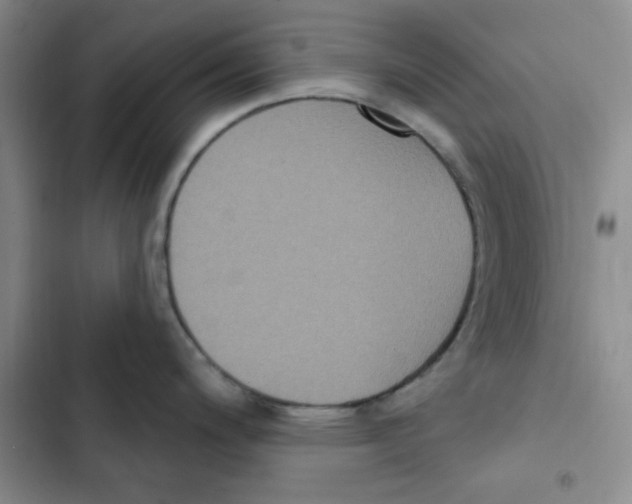 X0000102811200200809150945