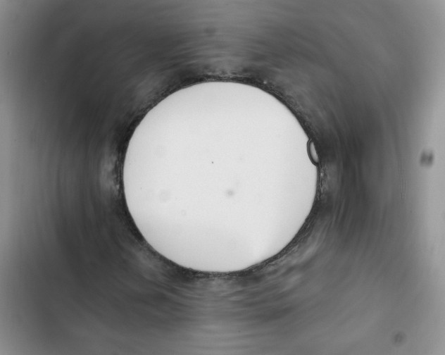 X0000102811202200809150944