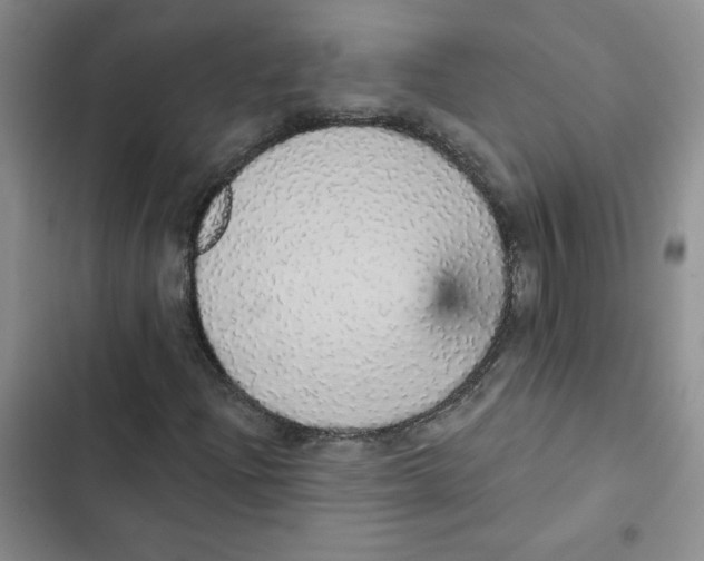 X0000102811204200809150944