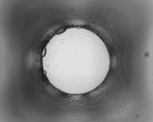 X0000102811205200809150944