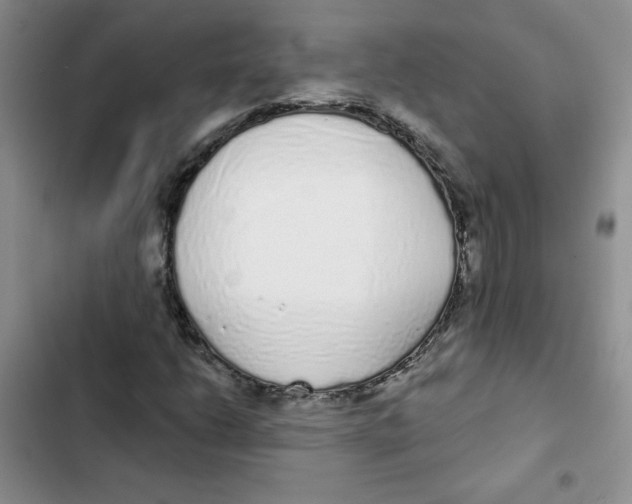 X0000102811206200809150944