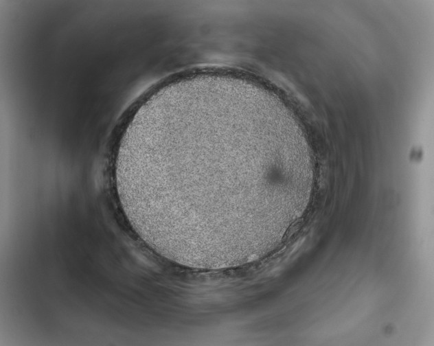 X0000102811208200809150944