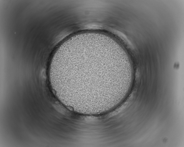 X0000102811209200809150944