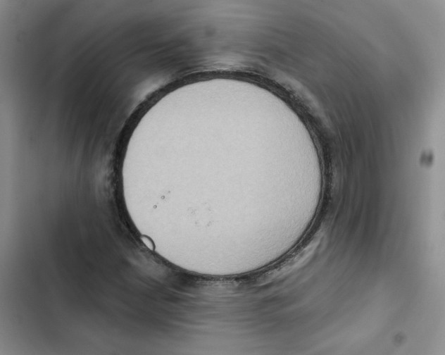 X0000102811210200809150944