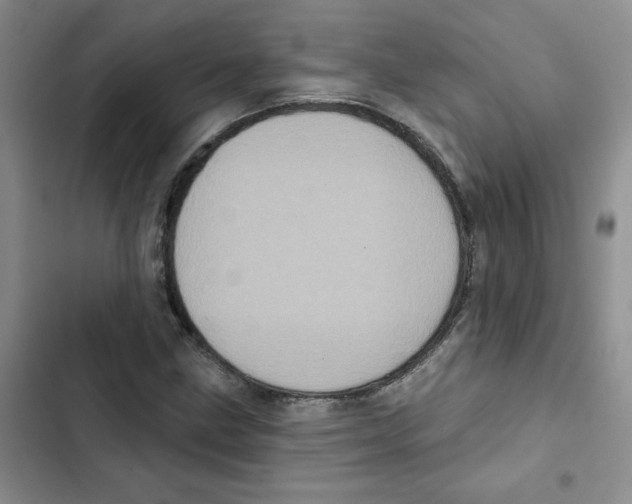 X0000102811211200809150944