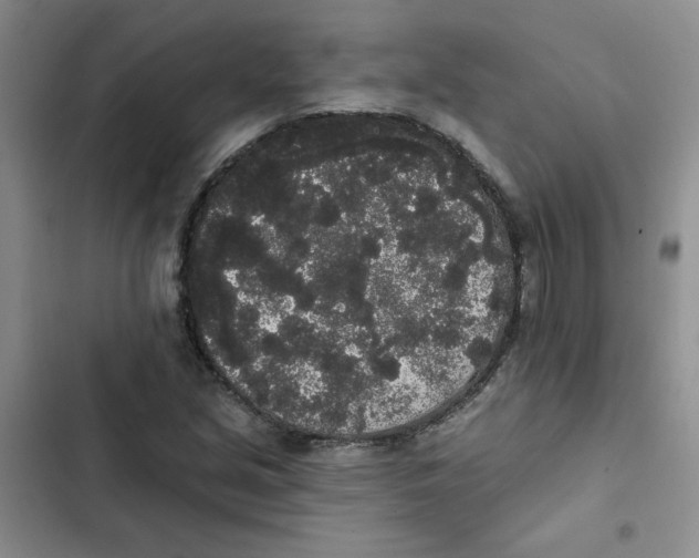 X0000102811213200809150944