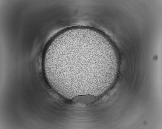 X0000102811214200809150944