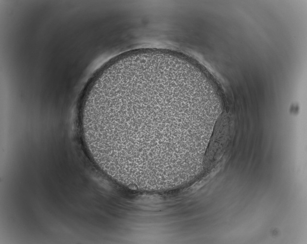 X0000102811215200809150944