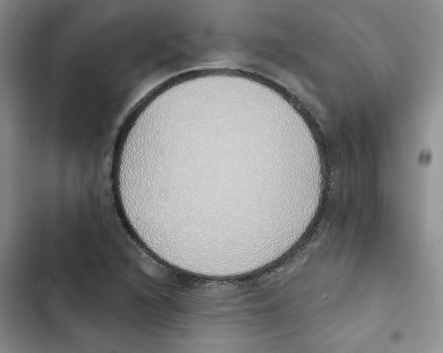 X0000102811216200809150944