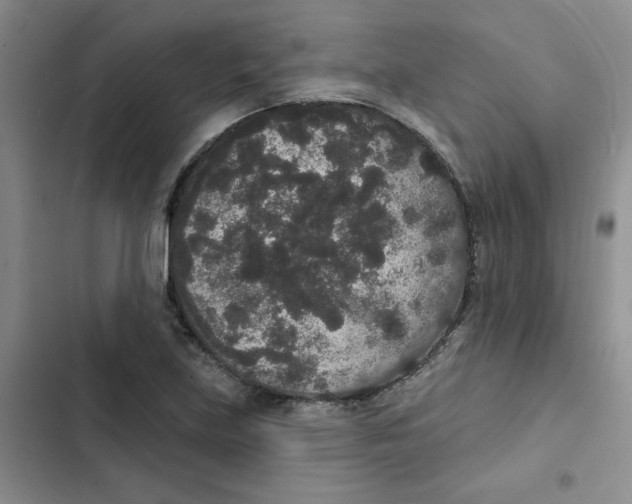 X0000102811219200809150944