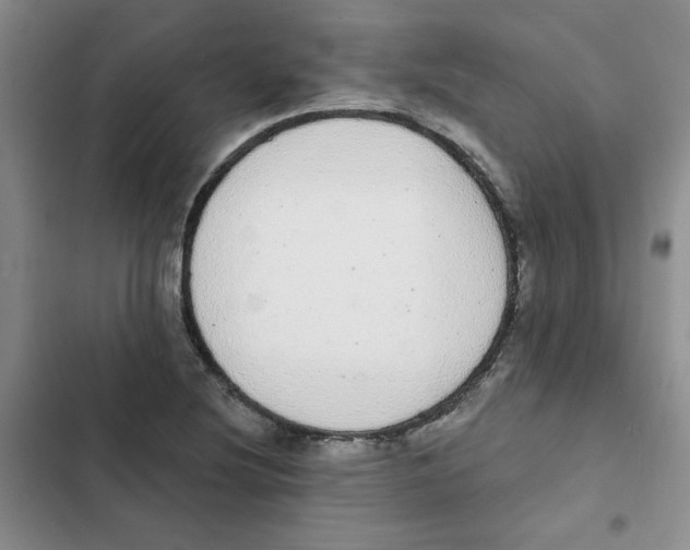 X0000102811220200809150944