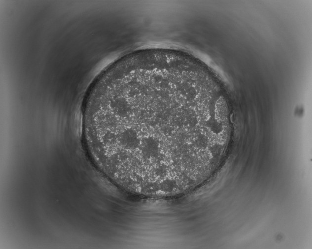 X0000102811221200809150944