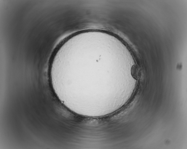 X0000102811222200809150944