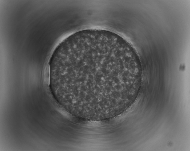 X0000102811223200809150944