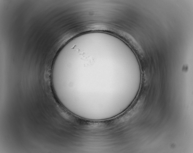 X0000102811225200809150944