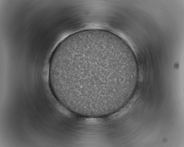 X0000102811227200809150944