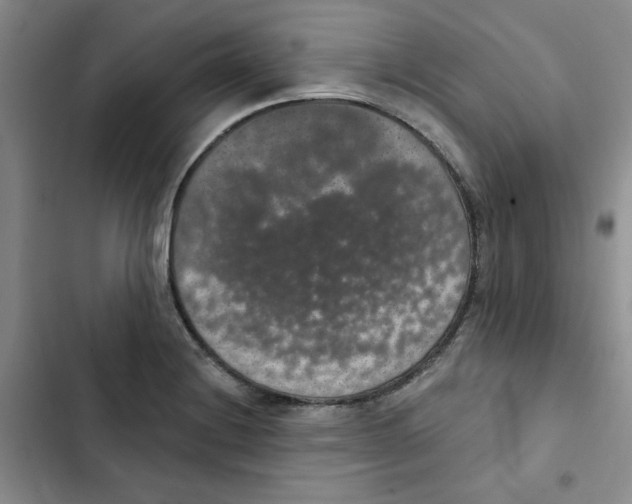 X0000102811228200809150944