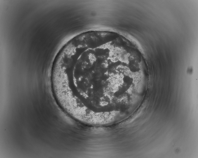 X0000102811231200809150944