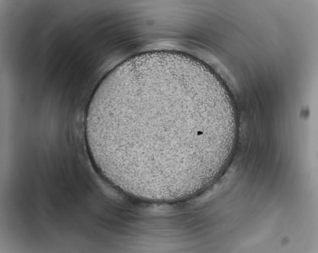 X0000102811233200809150944