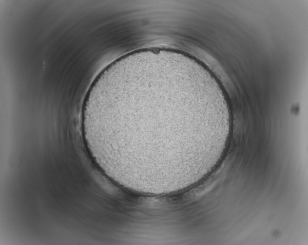 X0000102811234200809150944