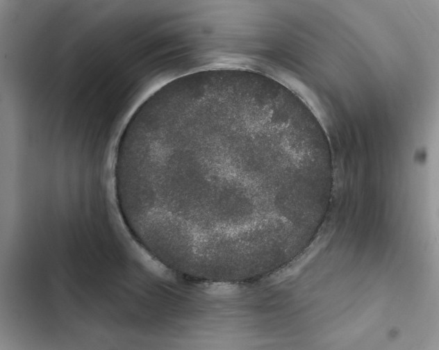 X0000102811235200809150944