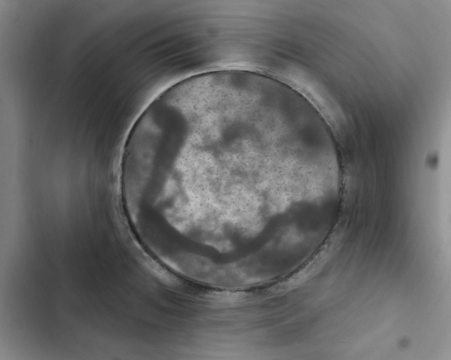 X0000102811236200809150944