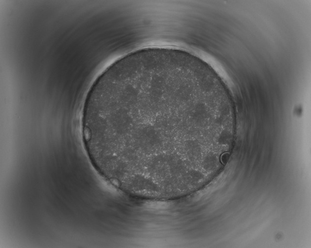 X0000102811237200809150944