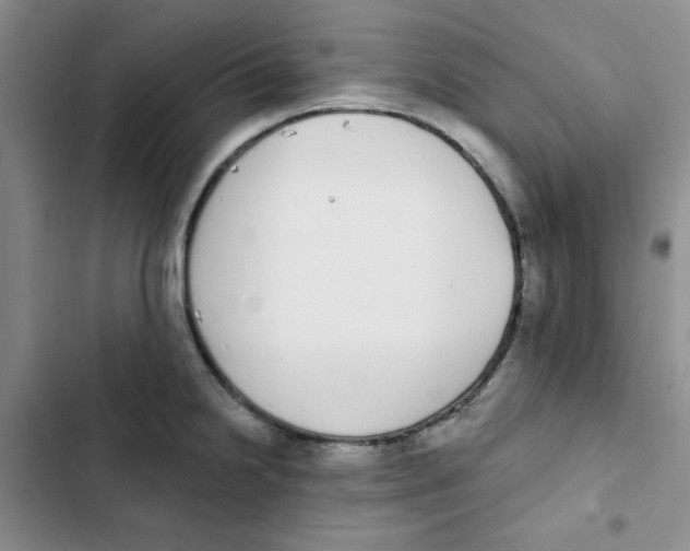 X0000102811238200809150944