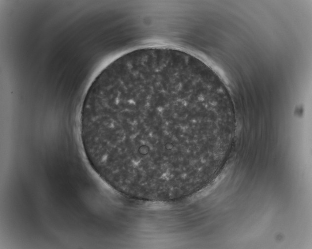 X0000102811239200809150944