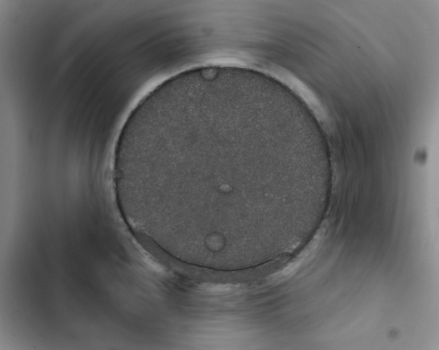 X0000102811240200809150944