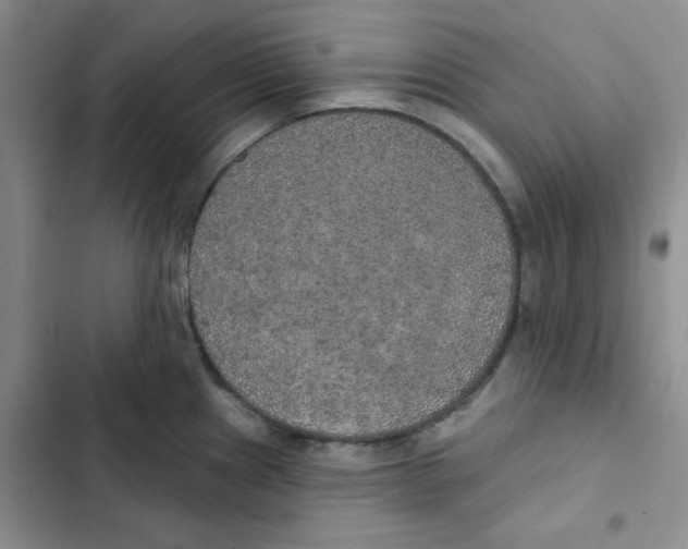 X0000102811241200809150944