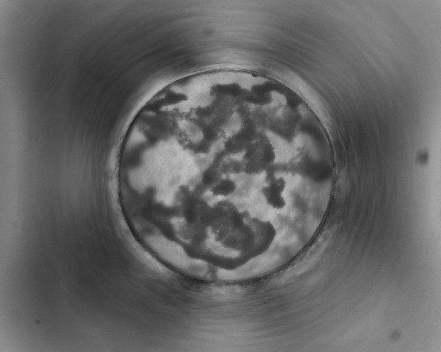 X0000102811243200809150944