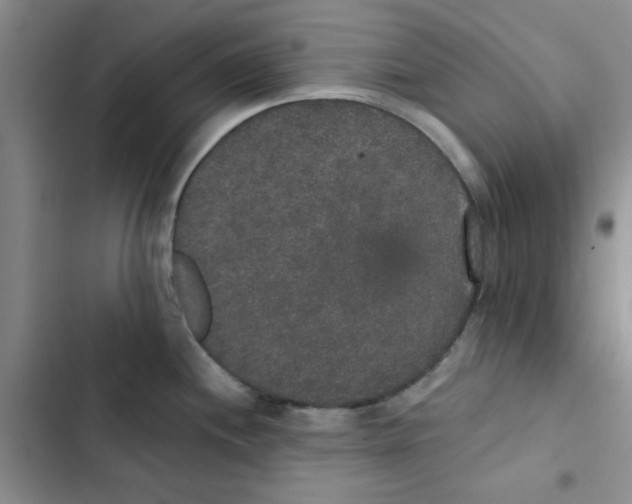 X0000102811244200809150944