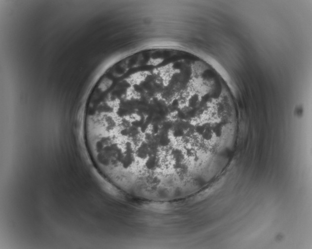 X0000102811245200809150944