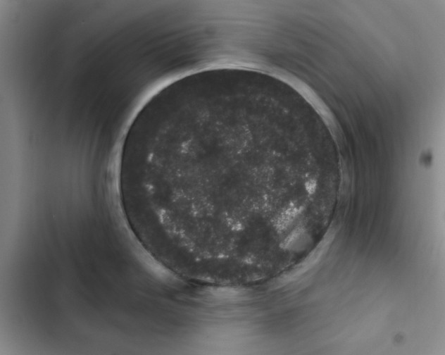 X0000102811246200809150944