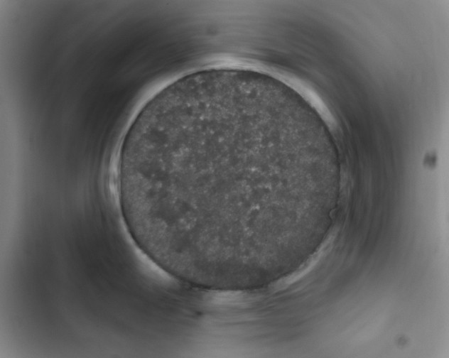 X0000102811247200809150944