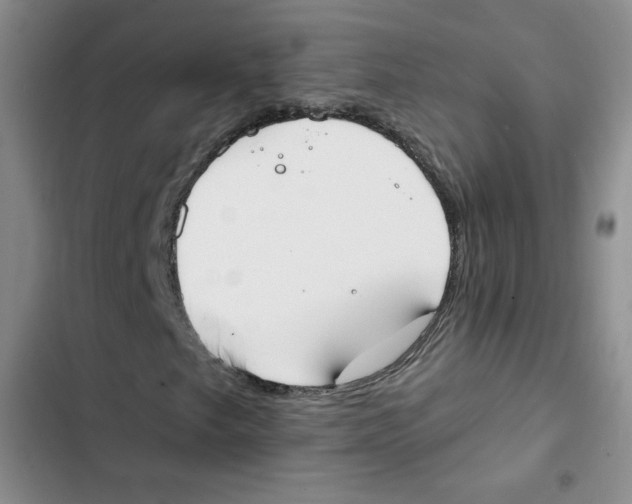 X0000102811249200809150944