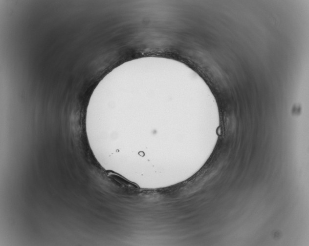 X0000102811250200809150944