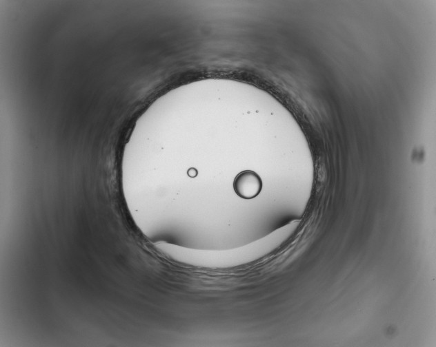 X0000102811252200809150944