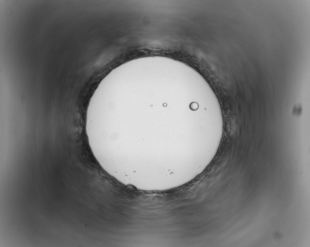 X0000102811253200809150944