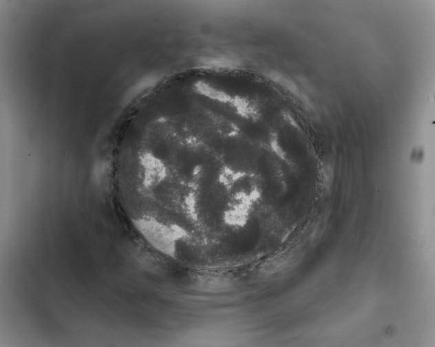 X0000102811254200809150944