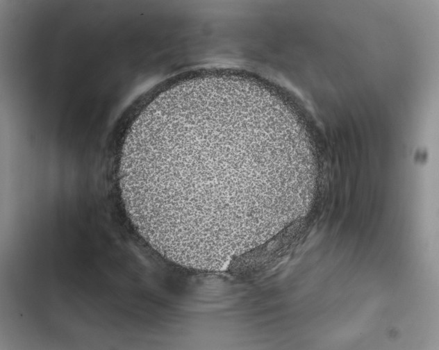 X0000102811255200809150944