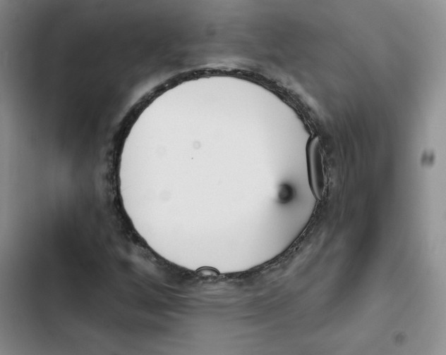 X0000102811256200809150944