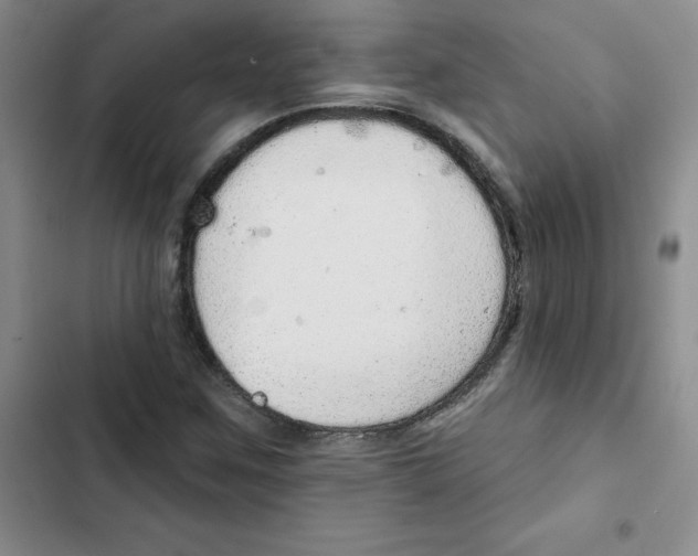 X0000102811259200809150944