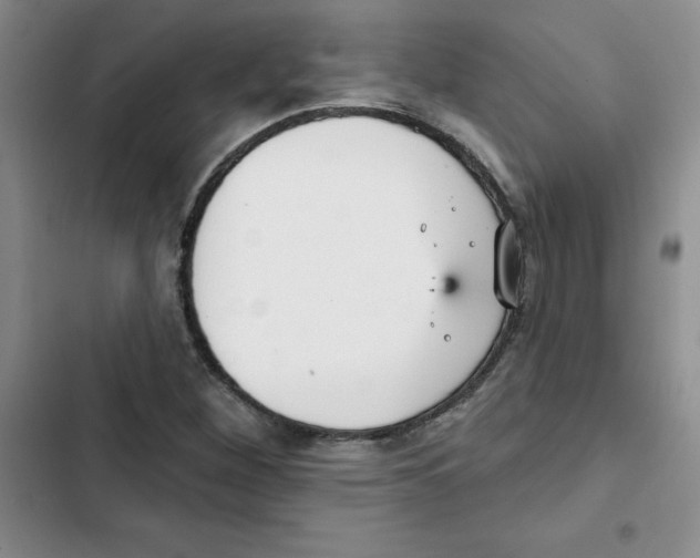 X0000102811260200809150944