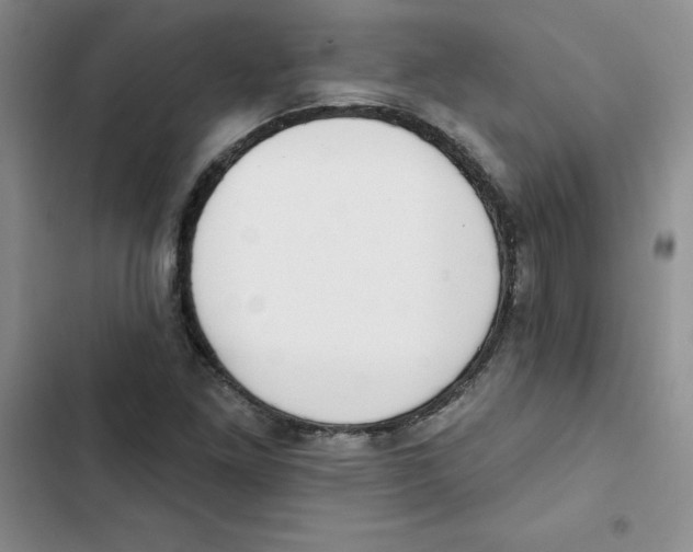 X0000102811261200809150944