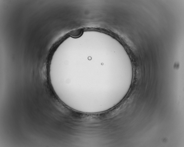 X0000102811262200809150944