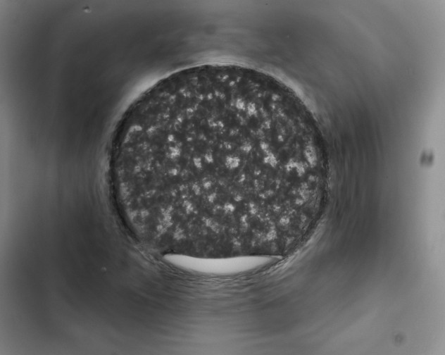 X0000102811263200809150944