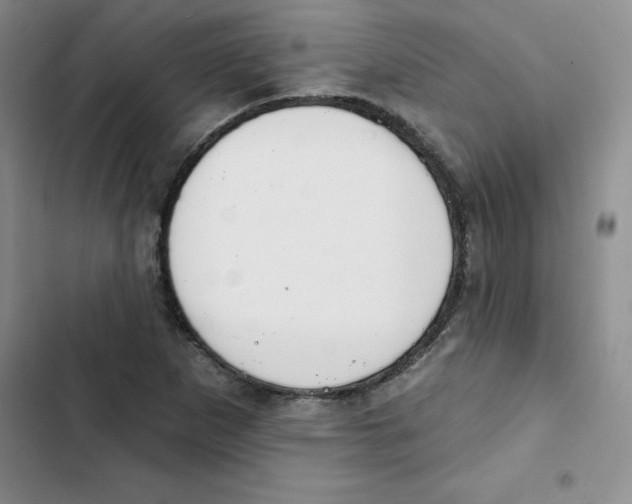 X0000102811265200809150944